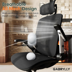 GABRYLLY Ergonomic Office Chair with Headrest, Flip-Up Arms & Wide Mesh Cushion – Black