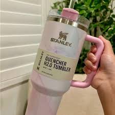 Stanley tumbler with pink handle held by a person indoors